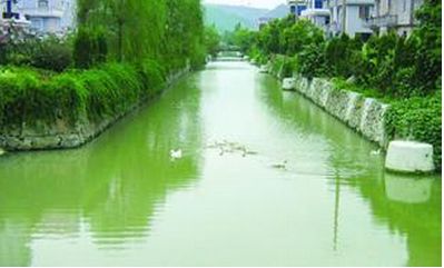 農(nóng)村建了“吃”污水“吐”清水的污水處理站，生活污水不再“無(wú)家可歸”