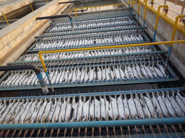 MBR膜污水處理設備的調試與自動運行